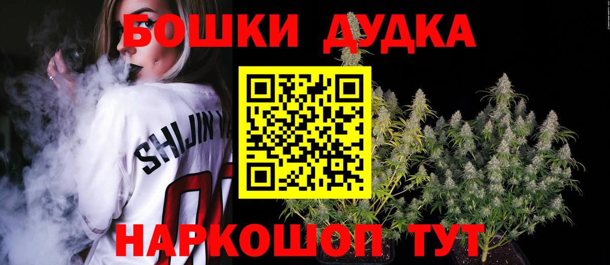 Конопля планчик Кингисепп